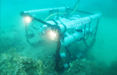 ROV（水中有索式無人潜水機）を独自開発